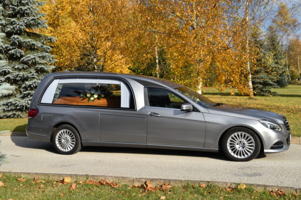 Matuseauto Mercedes-Benz Silver - Image 3